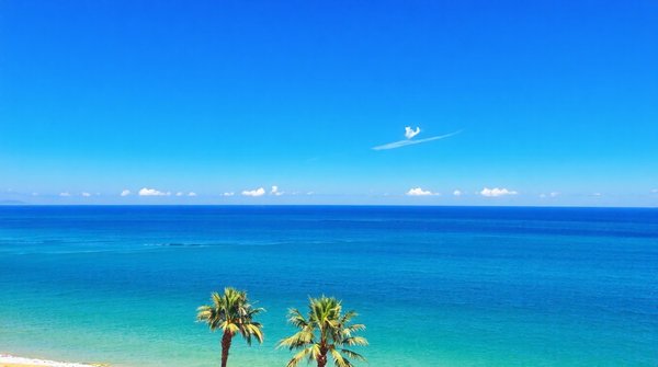 Découvrir les meilleures agences immobilières en grande canarie